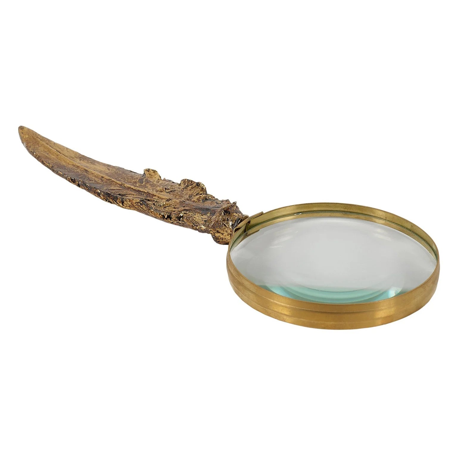 Track lighting for retail window displaysFeather Magnifier - Gold Finish
