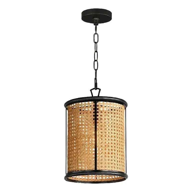 Track lighting for rental propertiesCane Pendant