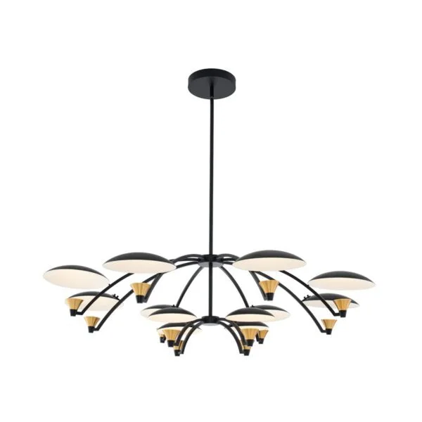 Chandeliers with Metal Frames in Black FinishChandeliers with Metal Frames in Black FinishRedding 2 Tier LED Chandelier (4+8 Light)